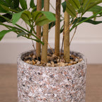 60Cm Tabletop Bamboo In Cement Pot