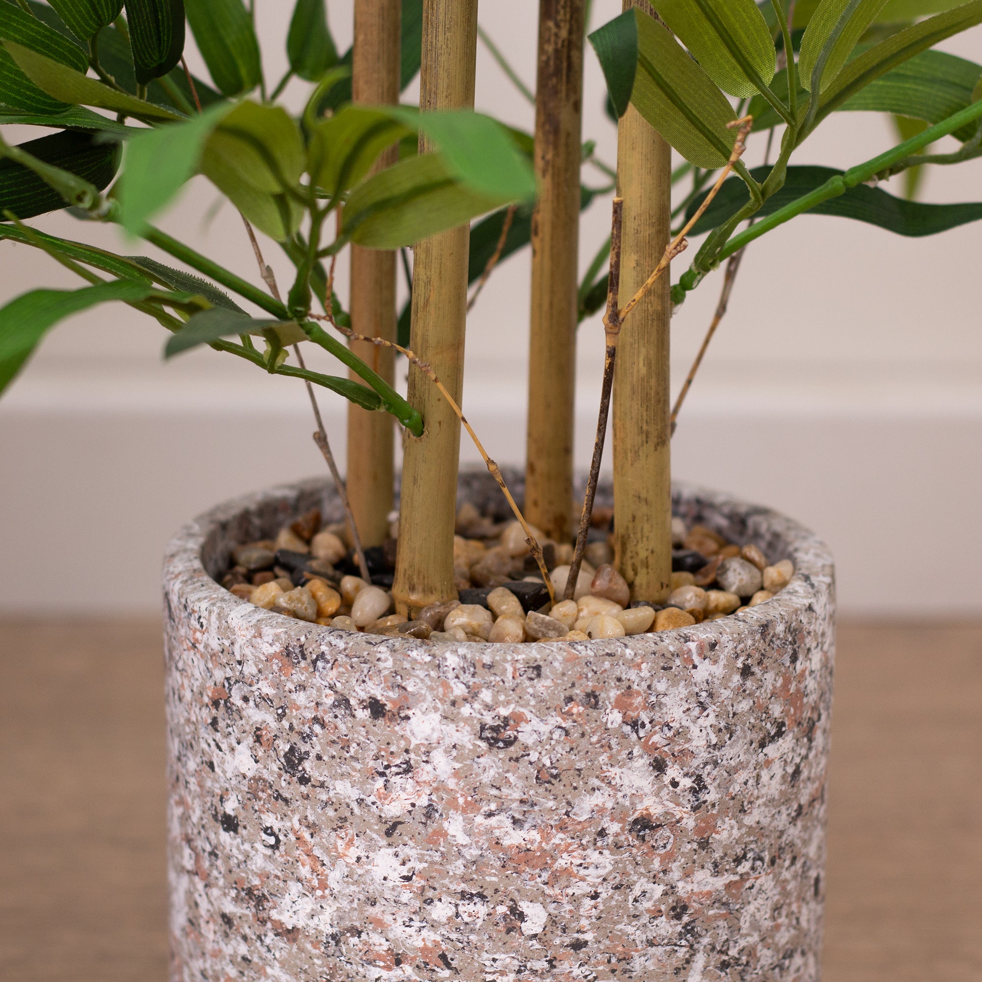 60Cm Tabletop Bamboo In Cement Pot
