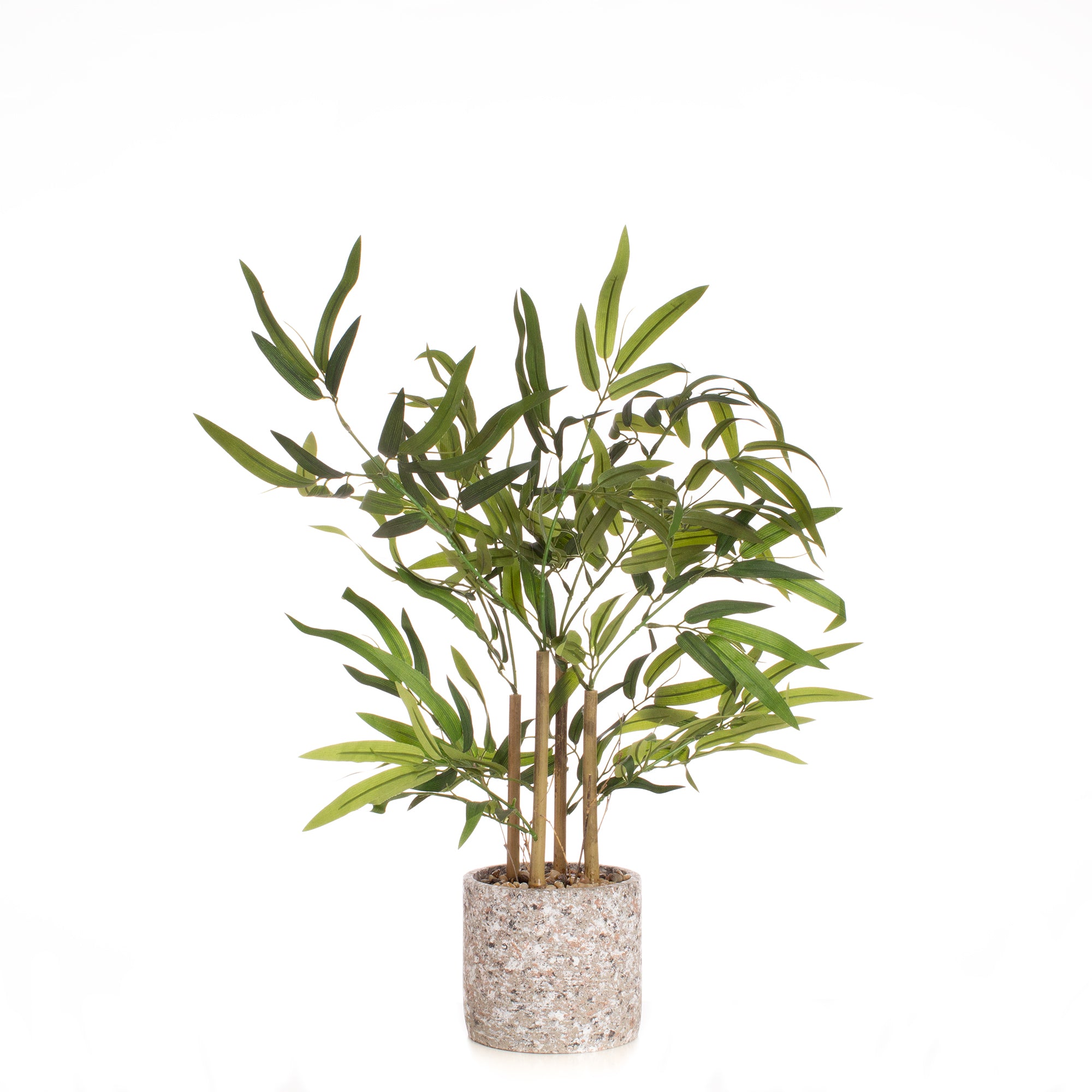60Cm Tabletop Bamboo In Cement Pot