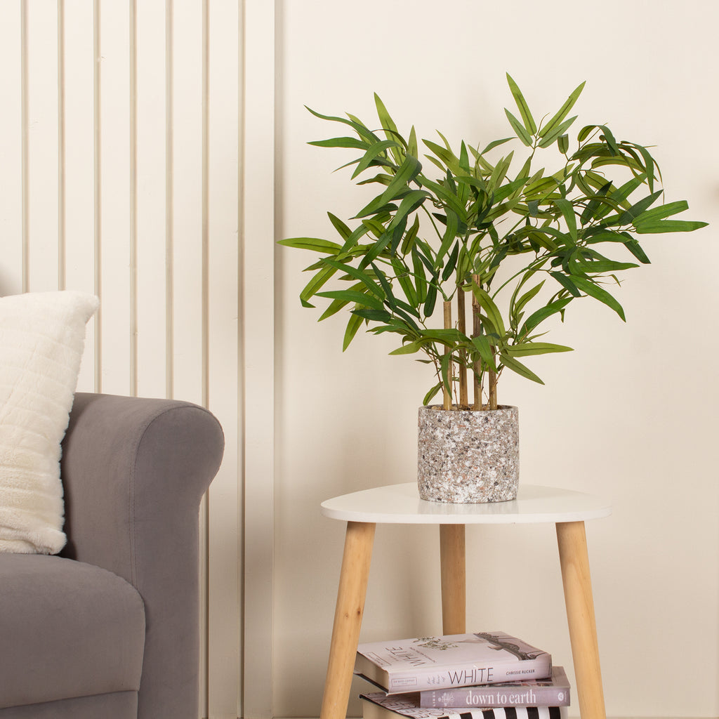 60Cm Tabletop Bamboo In Cement Pot