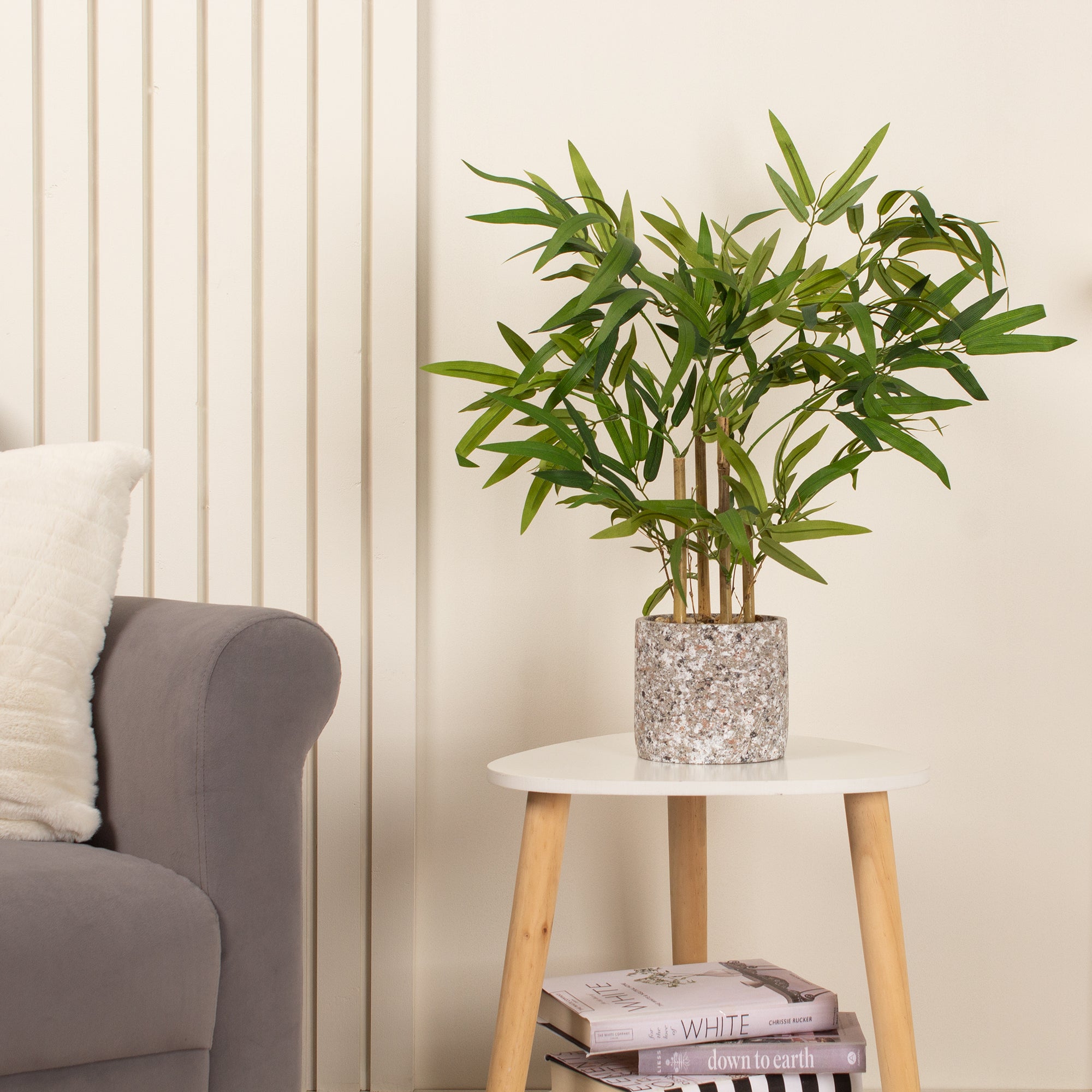 60Cm Tabletop Bamboo In Cement Pot