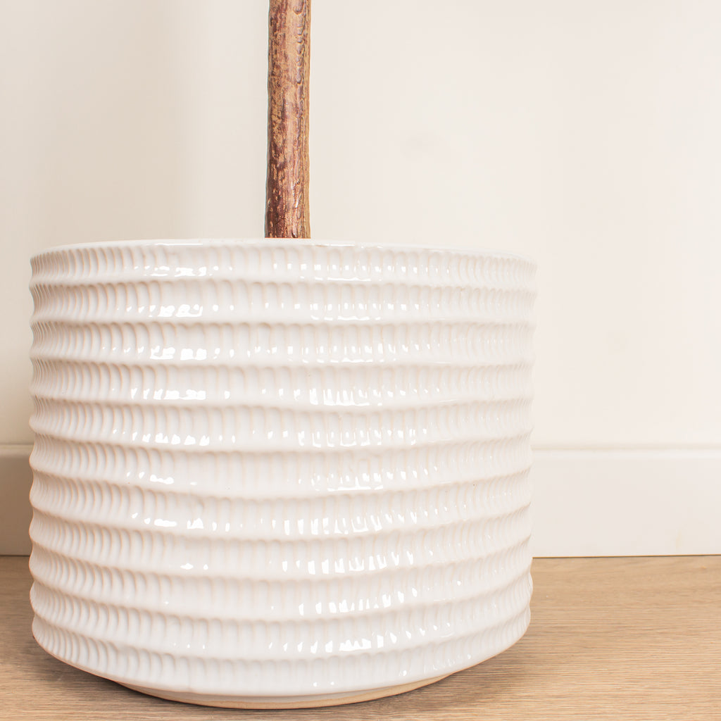 110Cm Olive Tree In Ceramic Pot