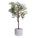 110Cm Olive Tree In Ceramic Pot