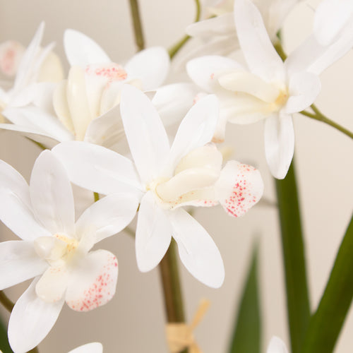61Cm Real Touch 3-Stem White Mini Cymbidium Orchid In Pot