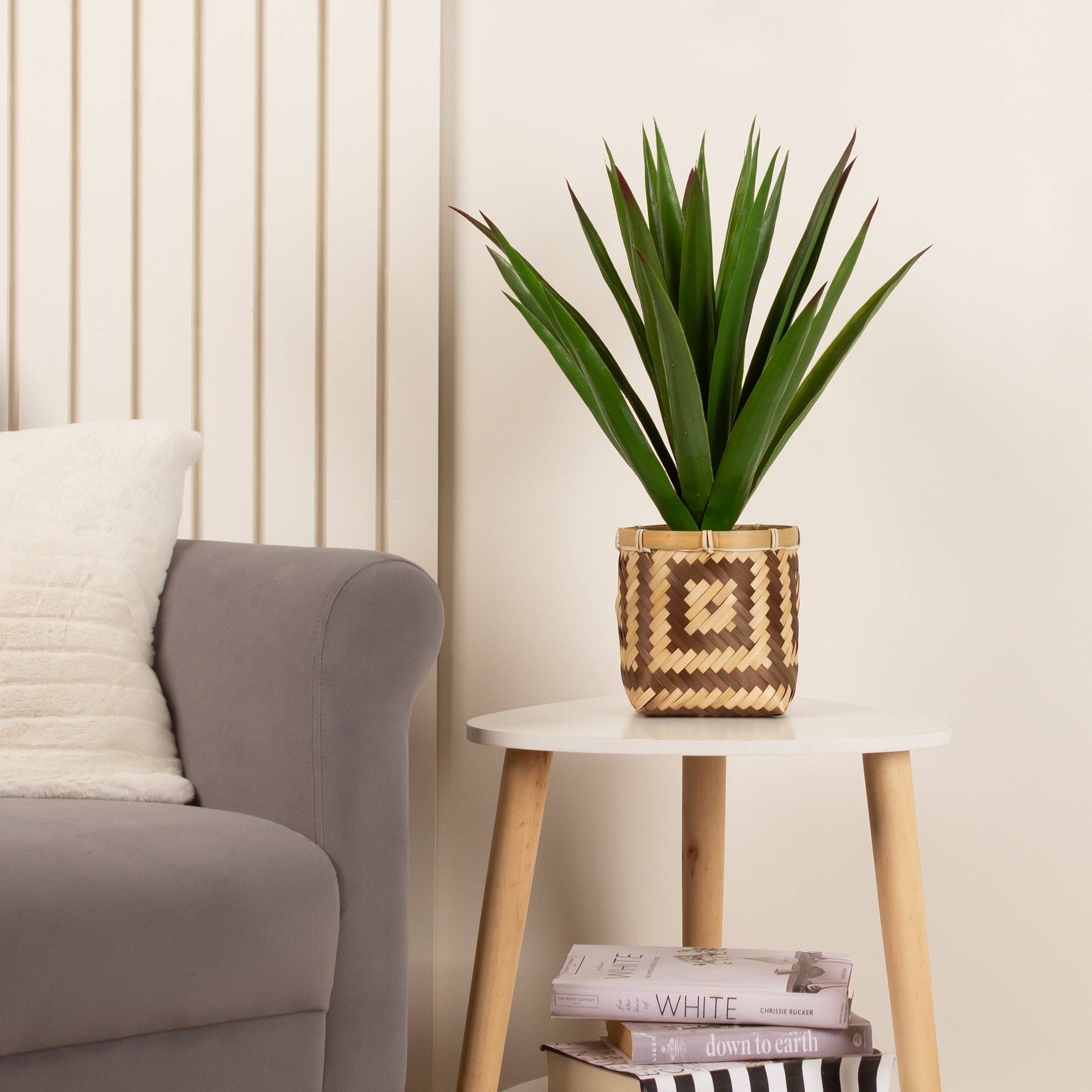 55cm Spikey Plant Bamboo Basket