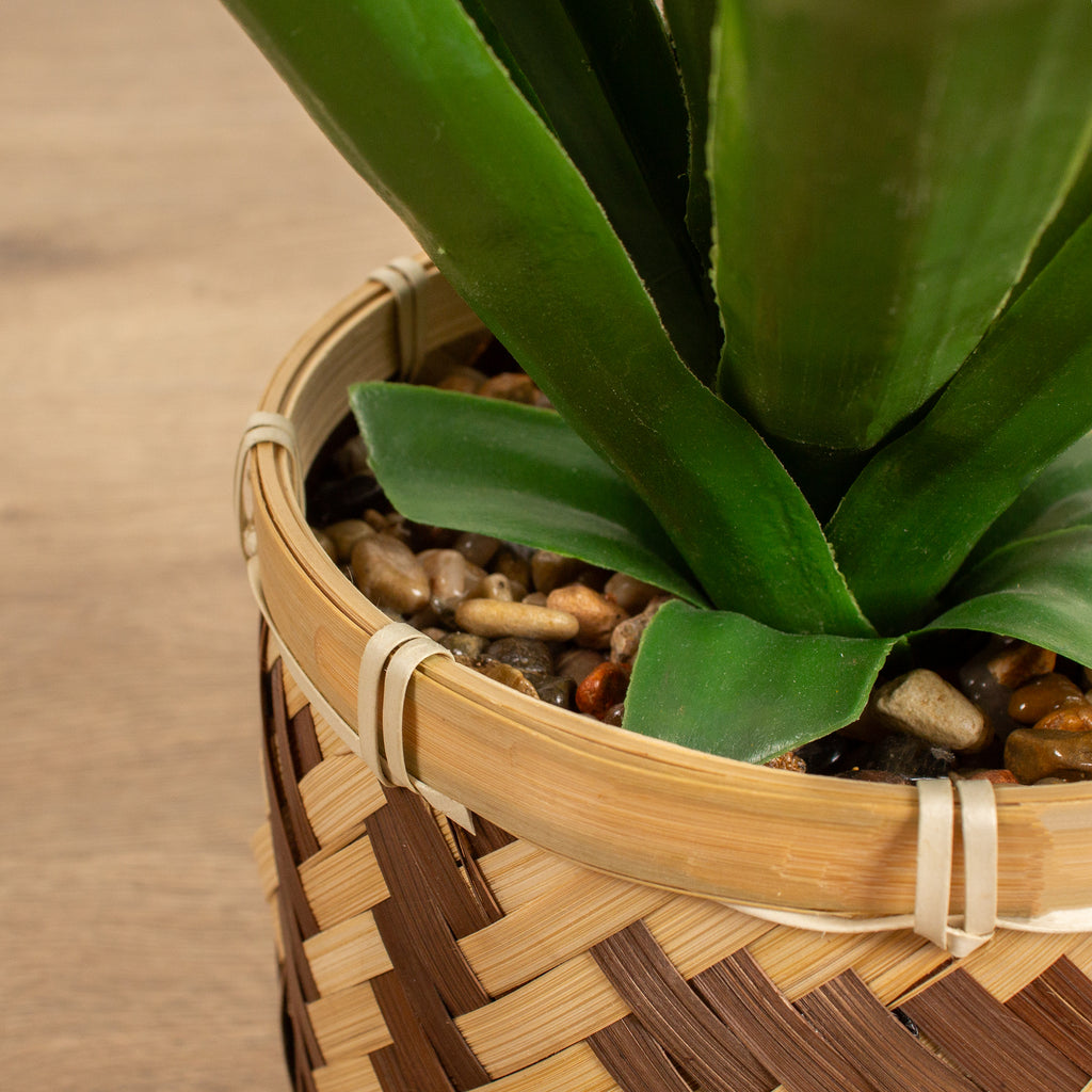 55cm Spikey Plant Bamboo Basket