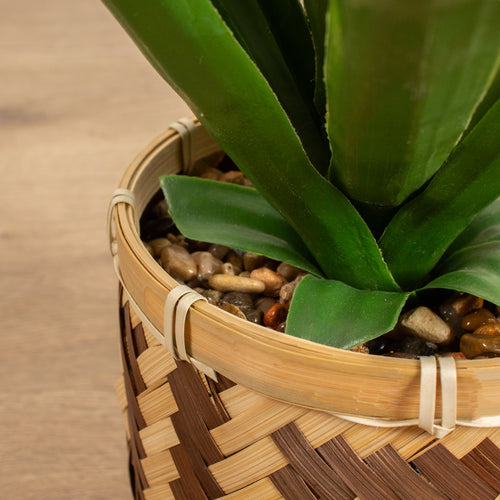 55cm Spikey Plant Bamboo Basket