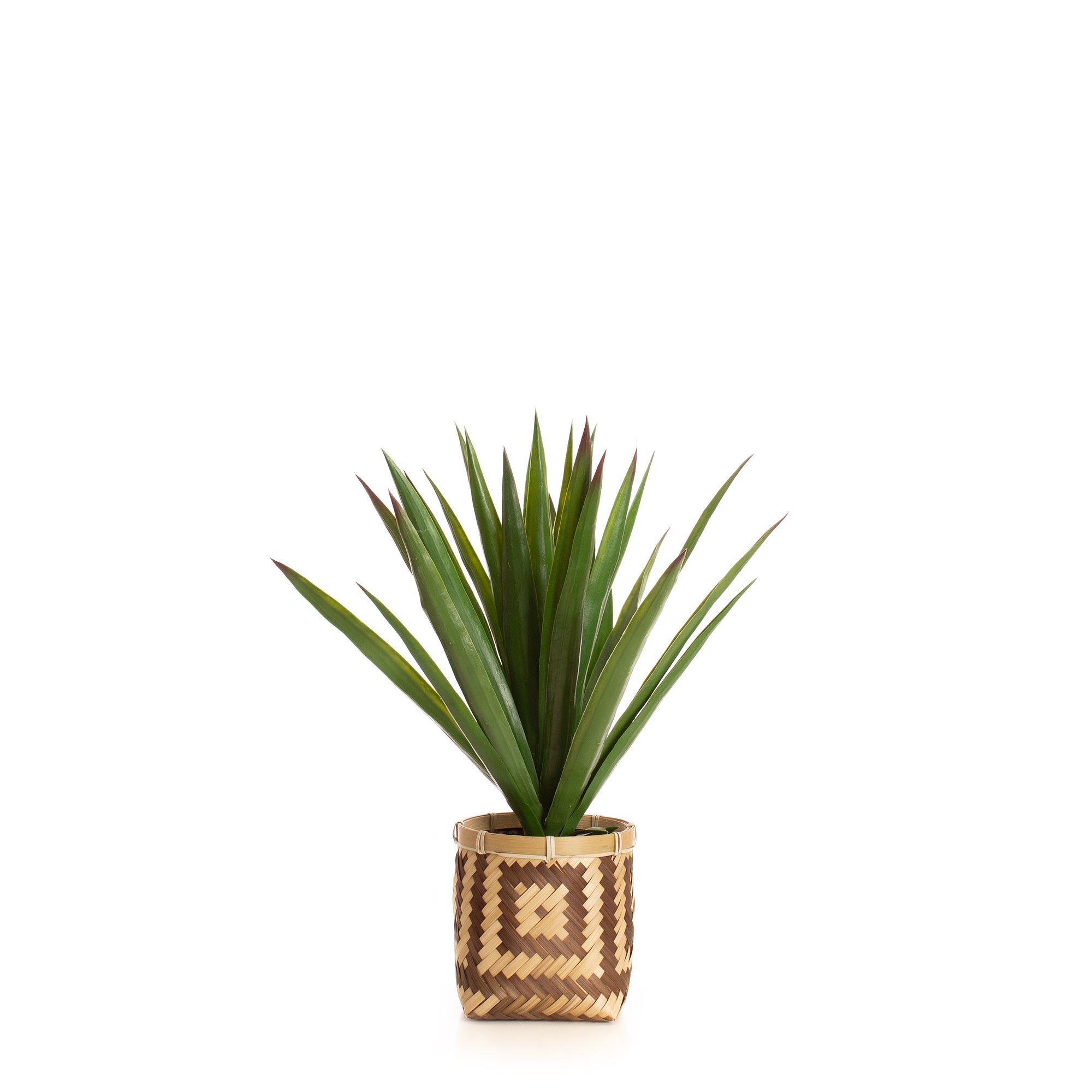 55cm Spikey Plant Bamboo Basket
