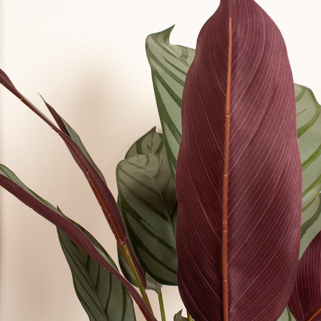 110Cm Real Touch Prayer Plant