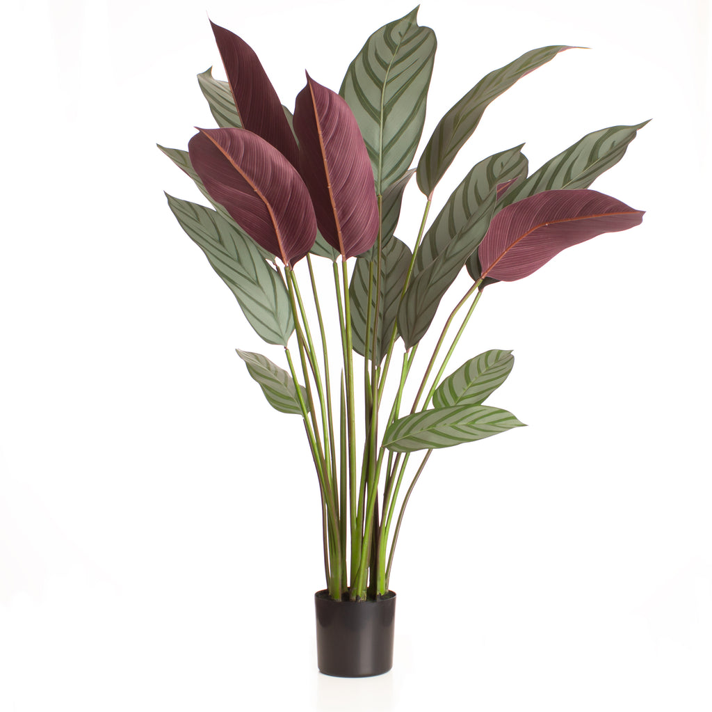 110Cm Real Touch Prayer Plant