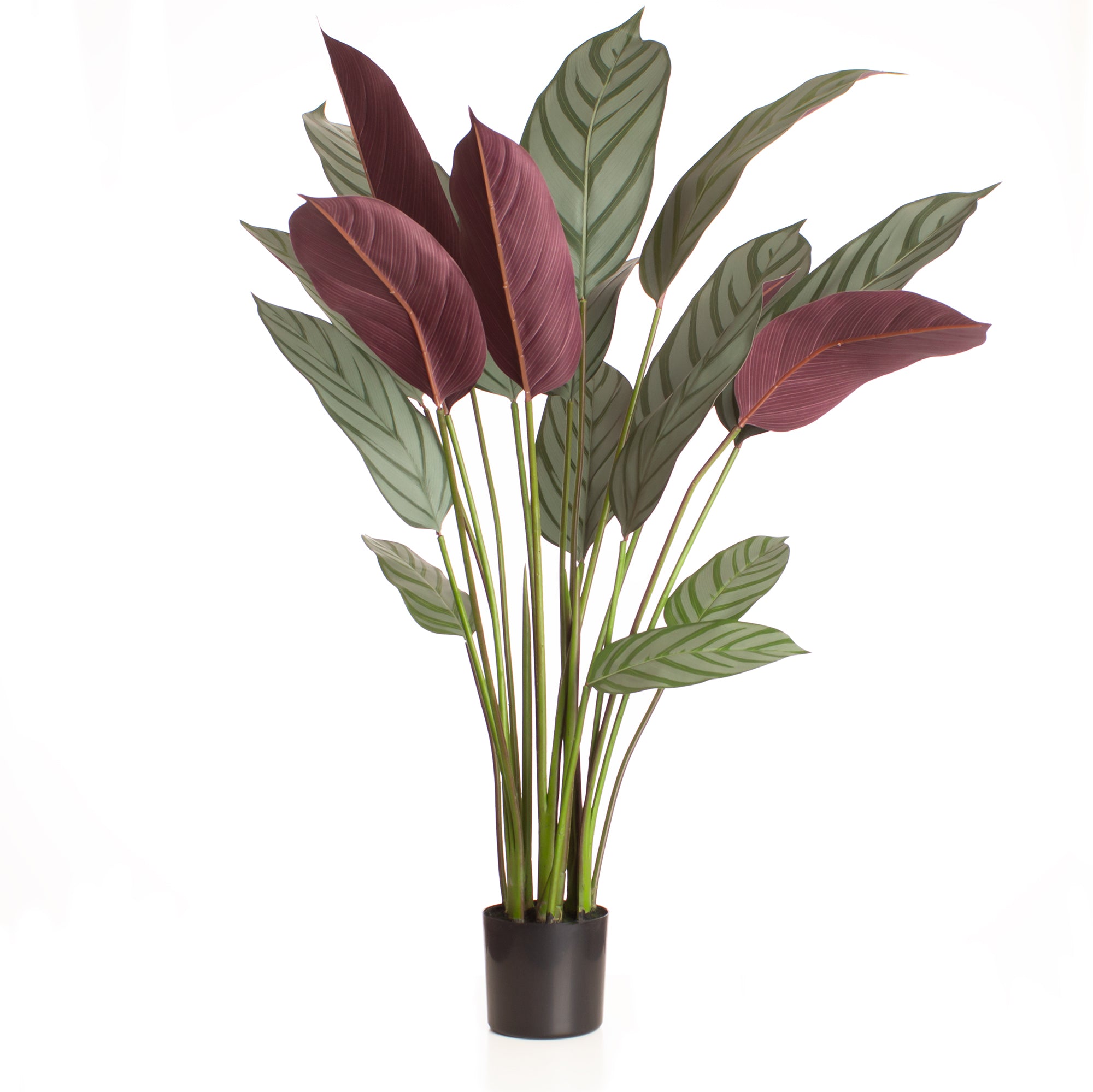 110Cm Real Touch Prayer Plant