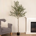 190Cm Olive Tree