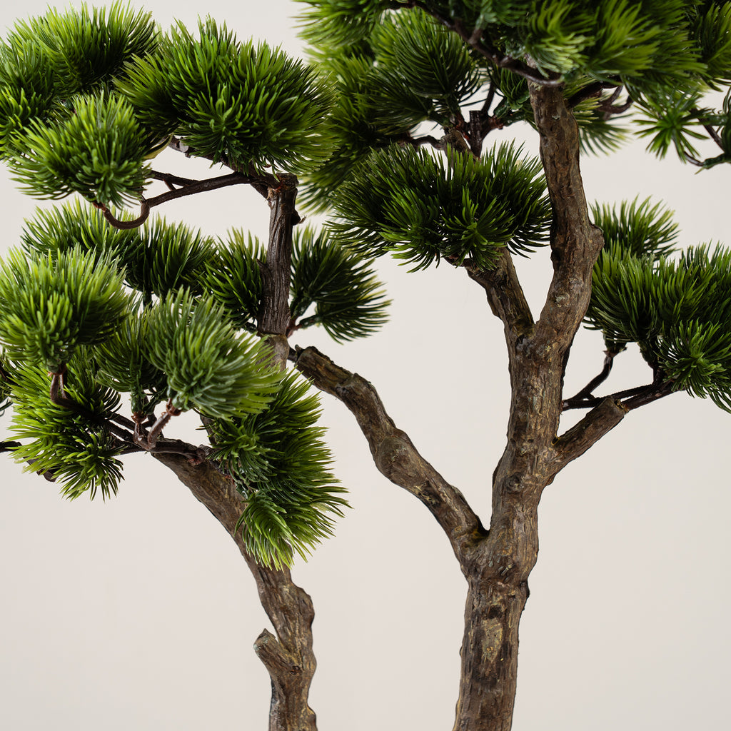 56cm Pine Tree Bonsai in Cement Effect Pot