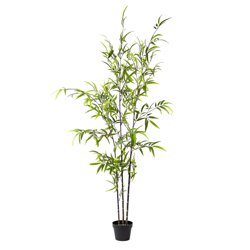 190Cm Real Touch Kd Bamboo Tree