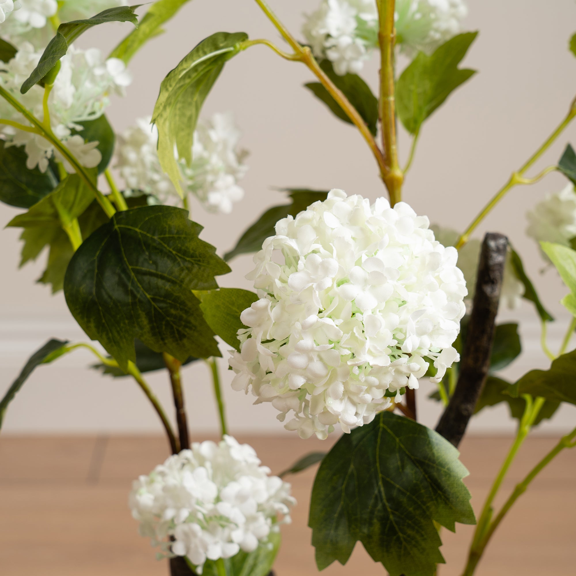 85Cm Cream Potted Hydrangea Plant