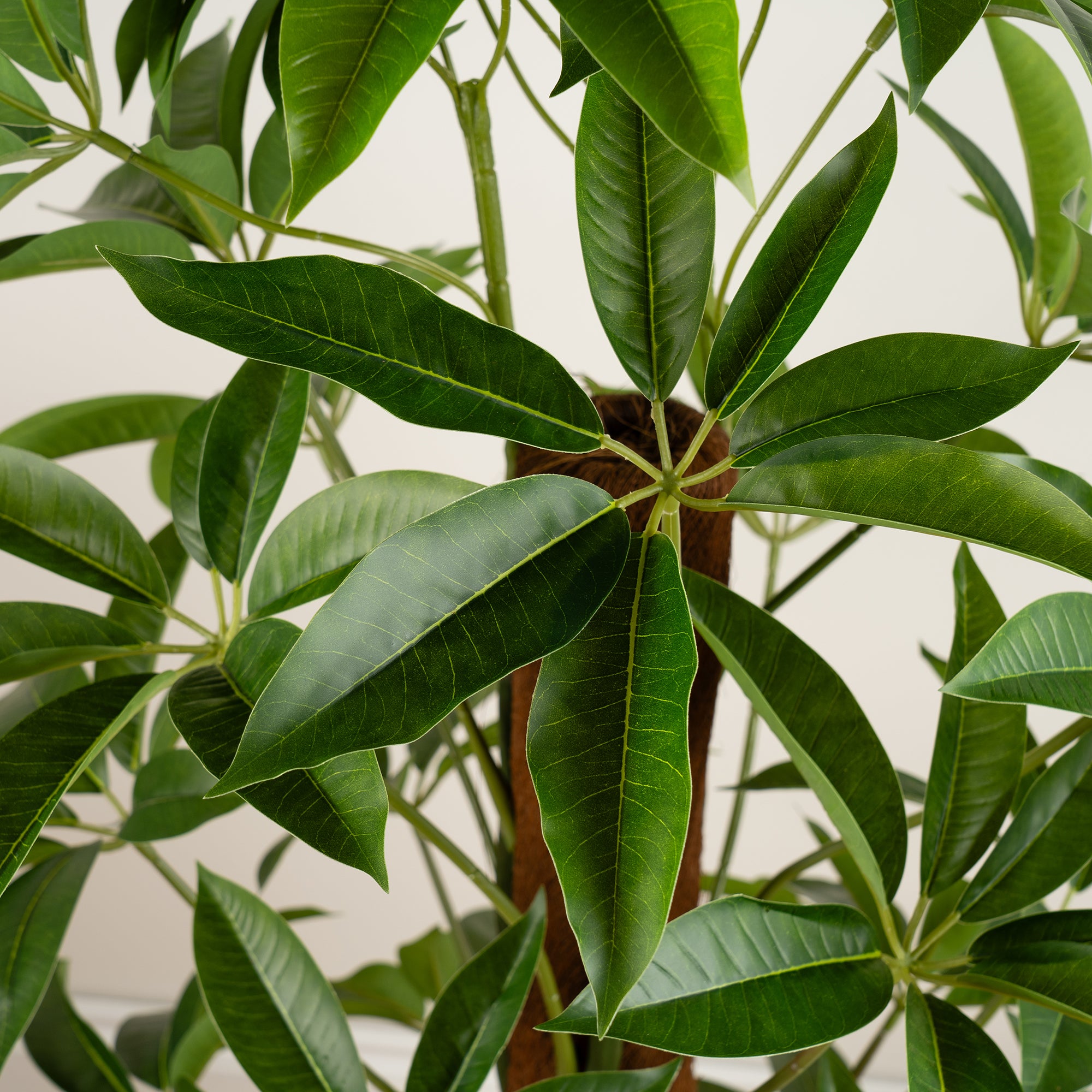 120Cm Real Touch Climbing Schefflera / Umbrella Plant In White Pot