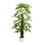 120Cm Real Touch Climbing Schefflera / Umbrella Plant In White Pot