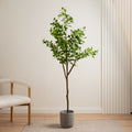 180Cm Real Touch Ficus Tree Kd