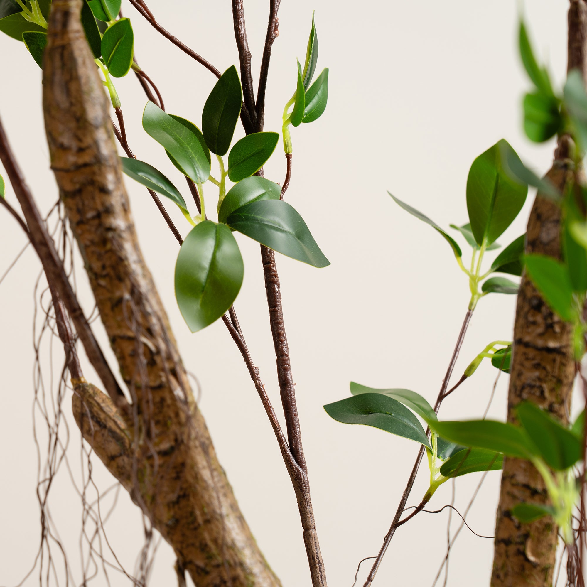 150Cm Real Touch Mini Ficus Tree