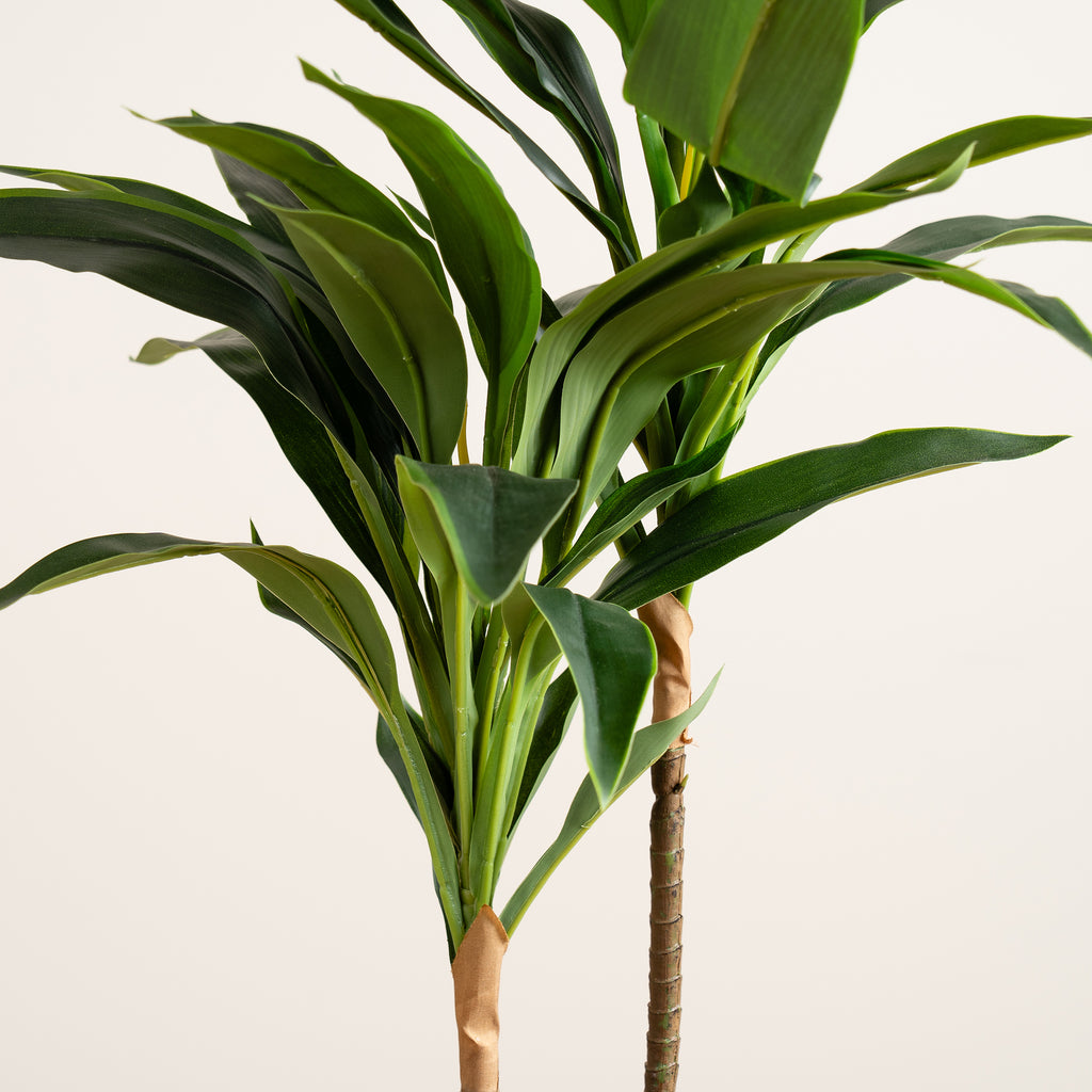 60Cm Real Touch Dracaena