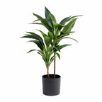 60Cm Real Touch Dracaena