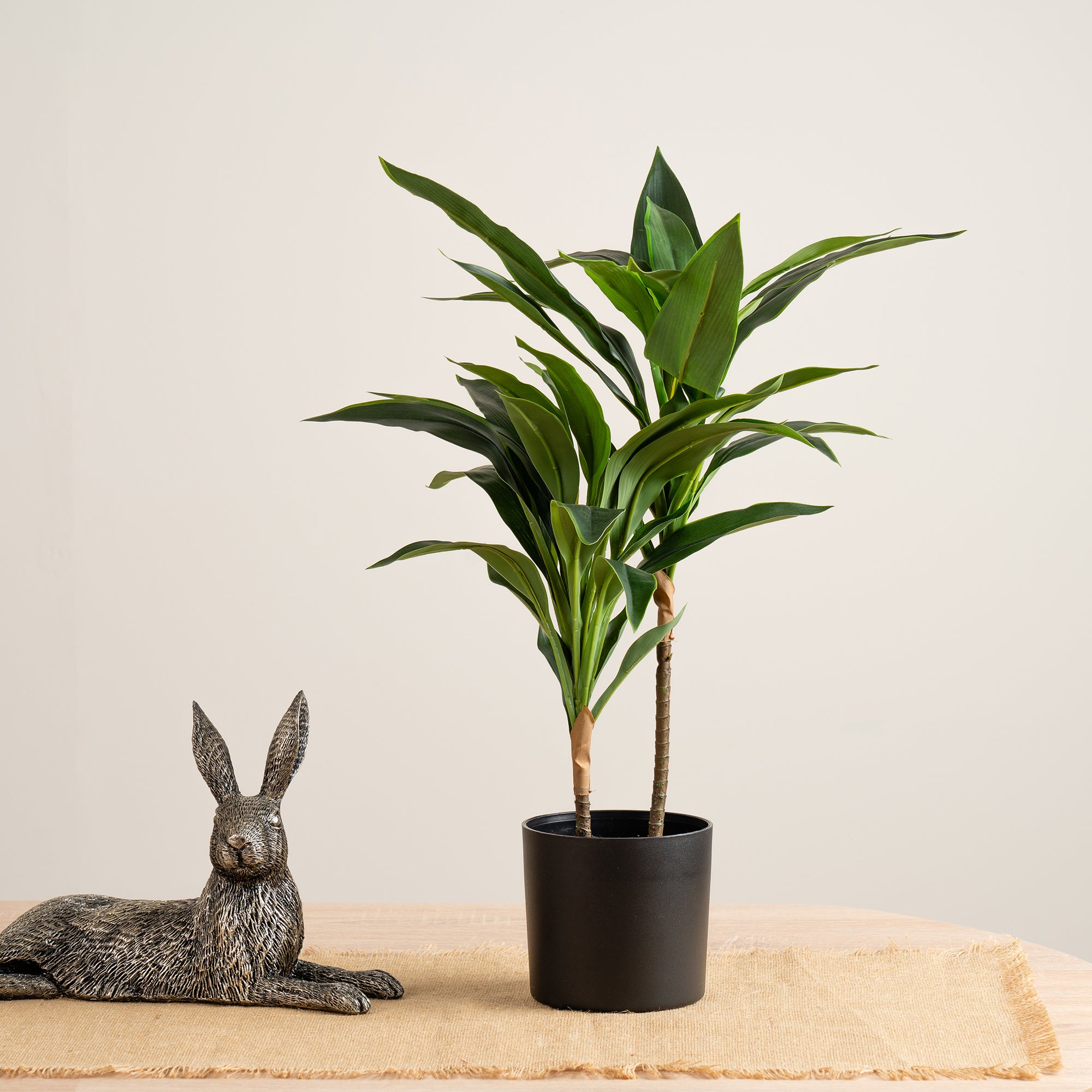 60Cm Real Touch Dracaena