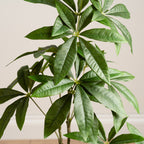 90Cm Real Touch Mexican Fortune Tree