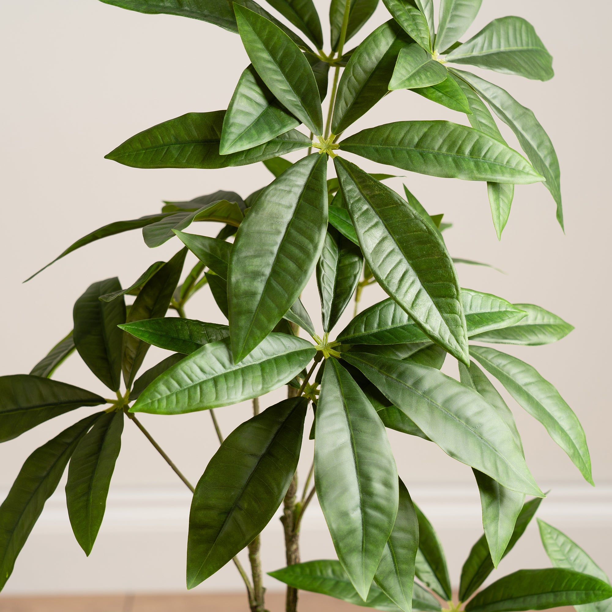 90Cm Real Touch Mexican Fortune Tree