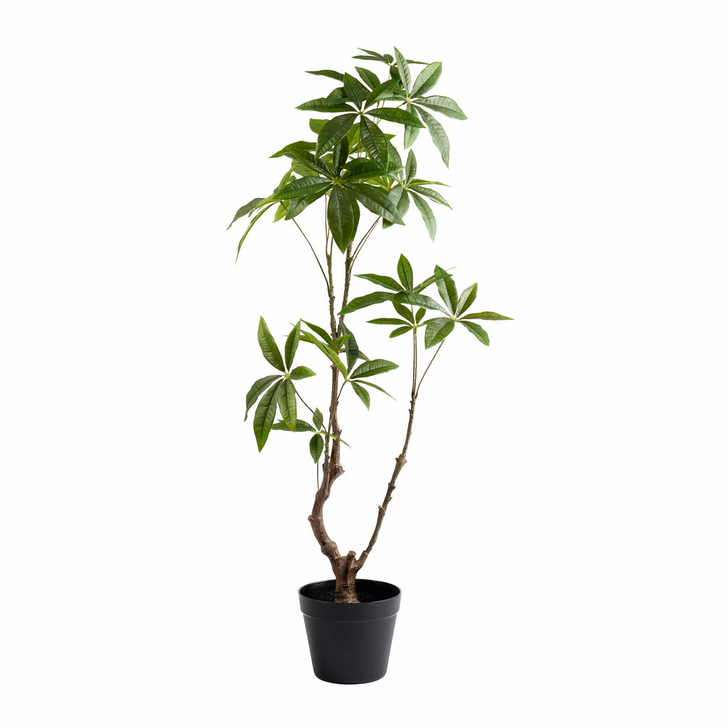 90Cm Real Touch Mexican Fortune Tree