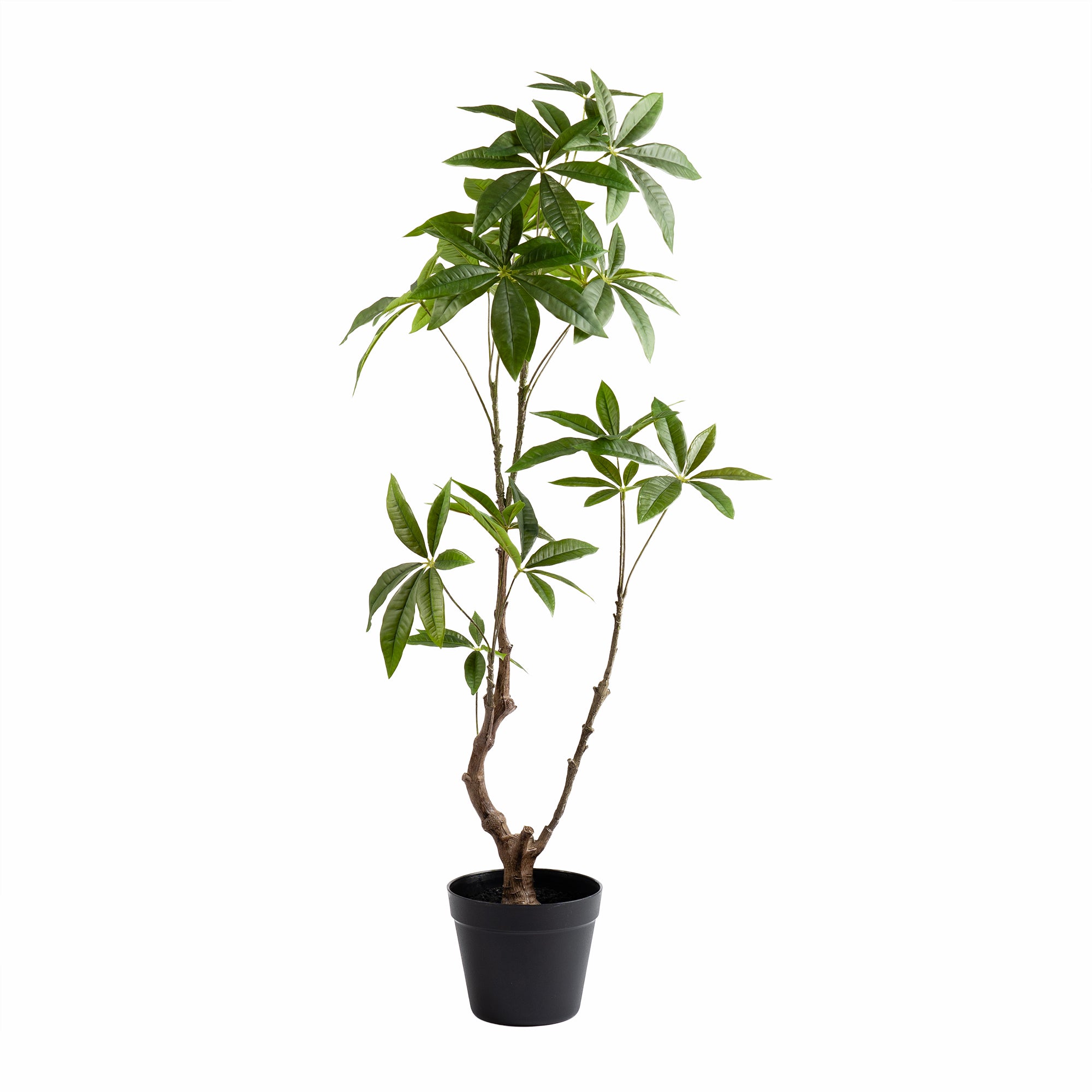 90Cm Real Touch Mexican Fortune Tree