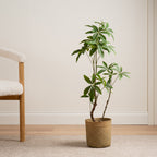 90Cm Real Touch Mexican Fortune Tree