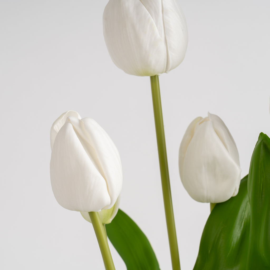 46Cm Tulip Spray In Pot