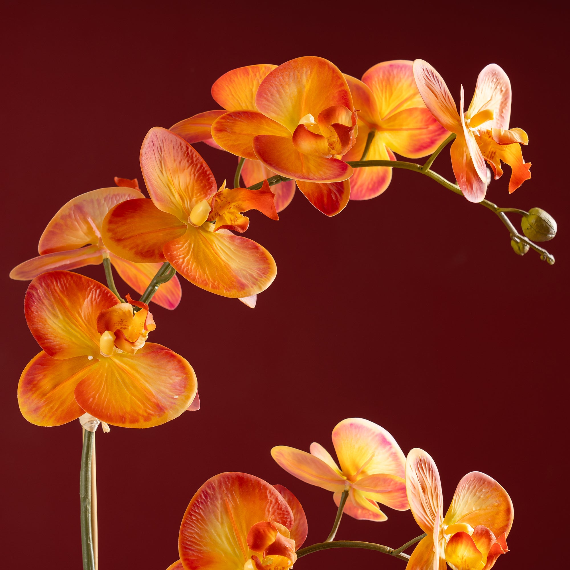 61Cm Real Touch Orange Phalaenopsis Orchid In Pot