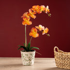 61Cm Real Touch Orange Phalaenopsis Orchid In Pot
