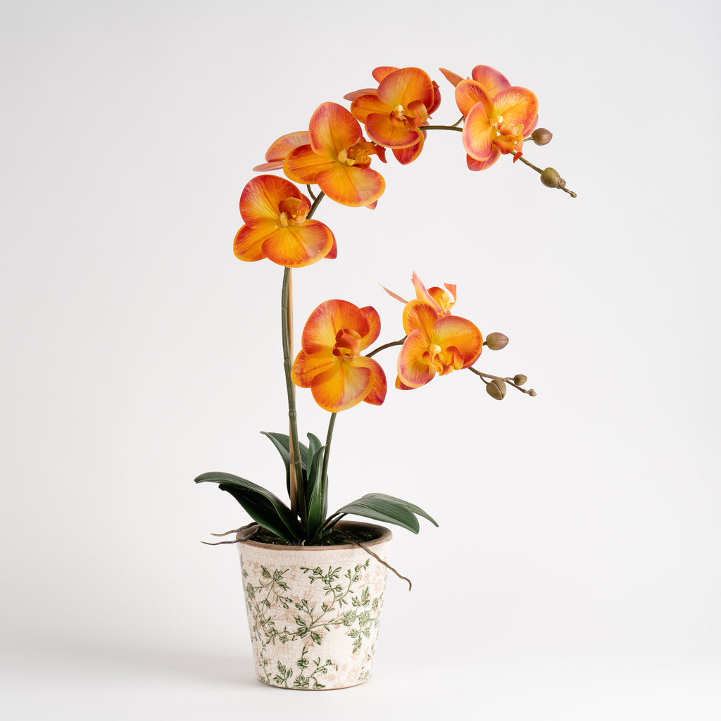 61Cm Real Touch Orange Phalaenopsis Orchid In Pot