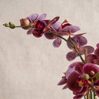 54Cm Real Touch Dark Pink Phalaenopsis Orchid In Pot