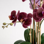 54Cm Real Touch Dark Pink Phalaenopsis Orchid In Pot