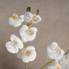 33Cm Real Touch Mini Phalaenopsis Orchid In Cement Pot