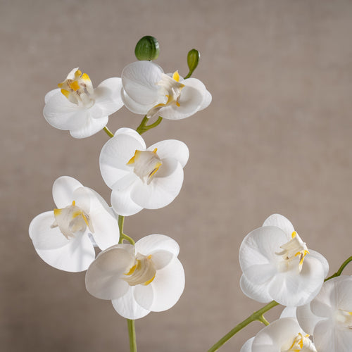 33Cm Real Touch Mini Phalaenopsis Orchid In Cement Pot