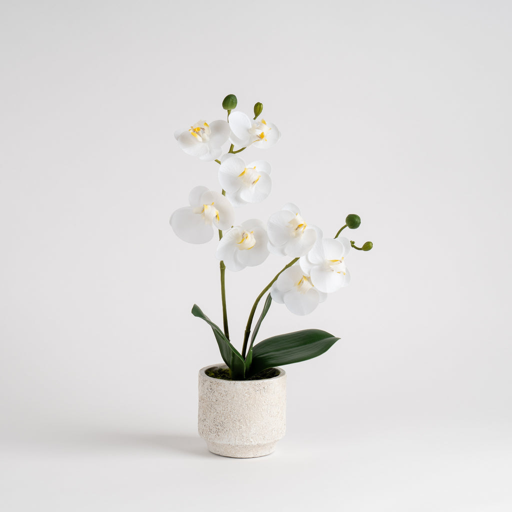 33Cm Real Touch Mini Phalaenopsis Orchid In Cement Pot