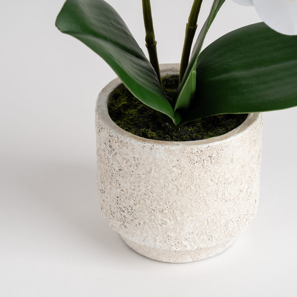 33Cm Real Touch Mini Phalaenopsis Orchid In Cement Pot