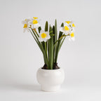 42cm Daffodil Spray in Ceramic Pot