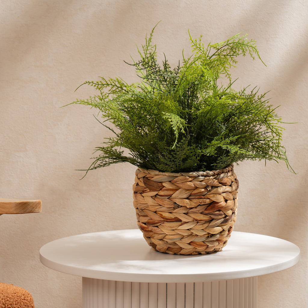 43Cm Fern In Basket