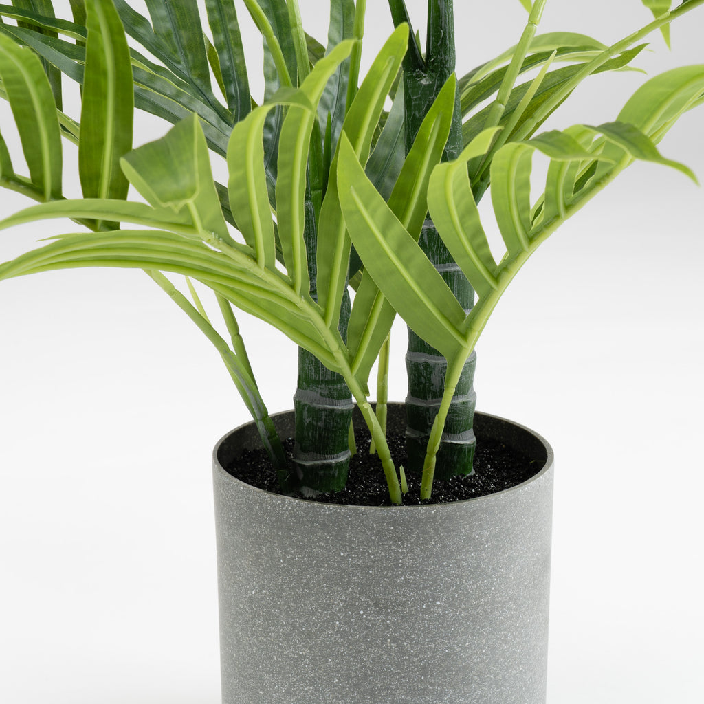 60Cm Palm Tree