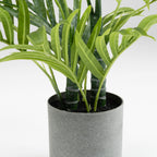 60Cm Palm Tree