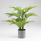 60Cm Palm Tree