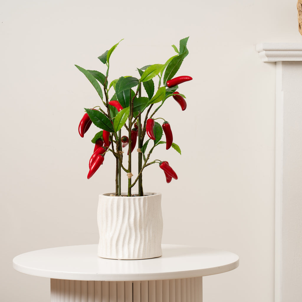 49Cm Chilli Plant In Ceramic Pot