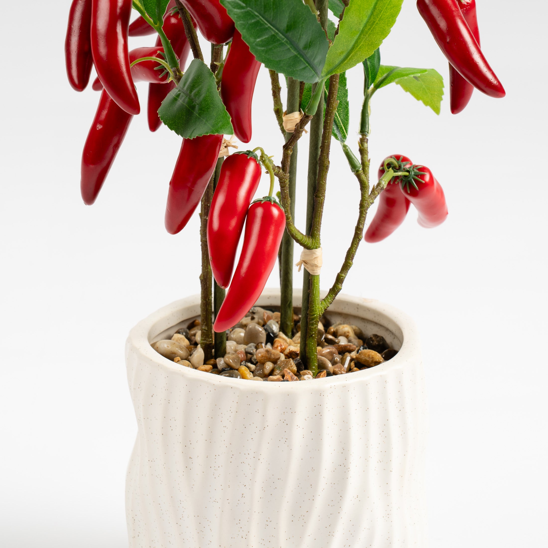 49Cm Chilli Plant In Ceramic Pot