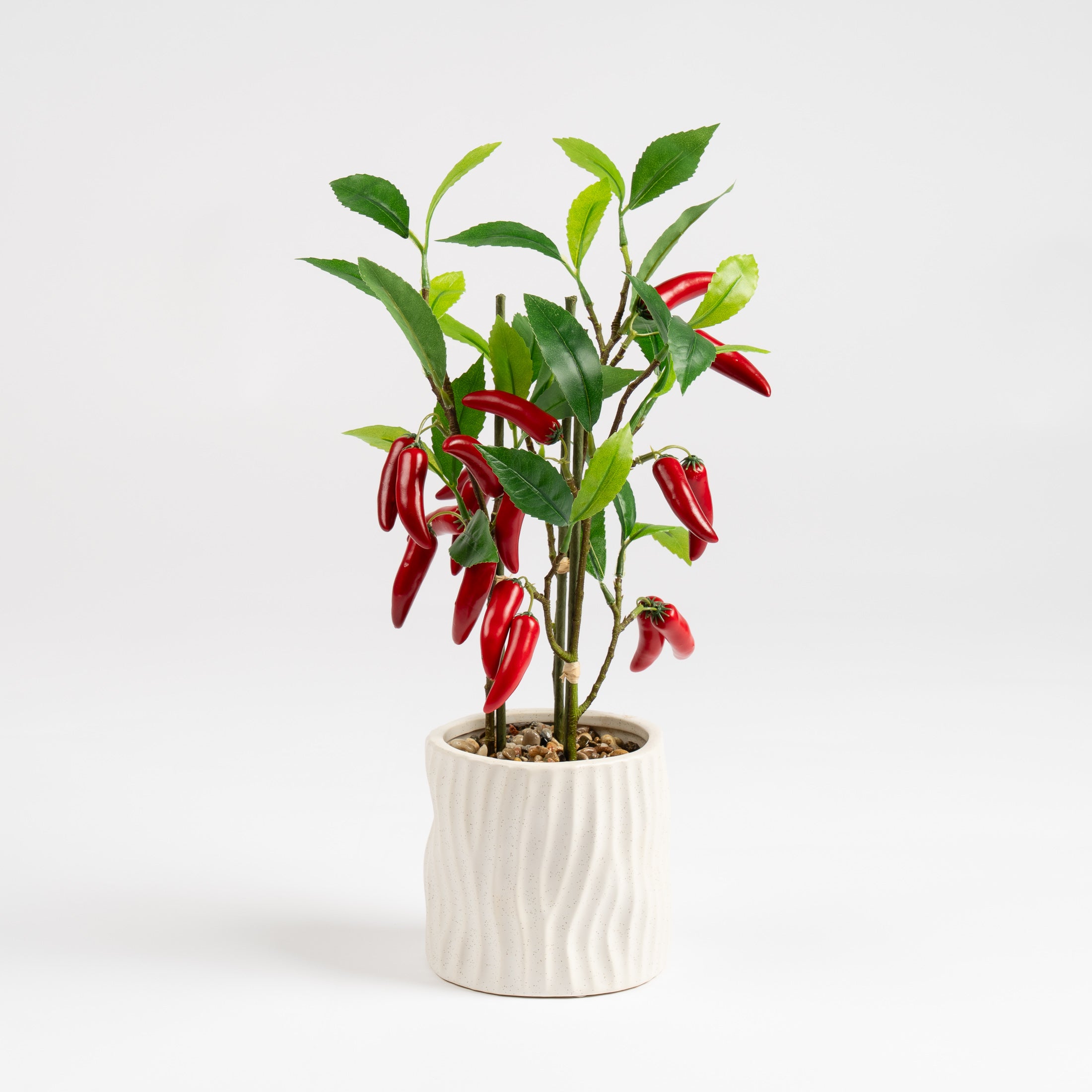 49Cm Chilli Plant In Ceramic Pot