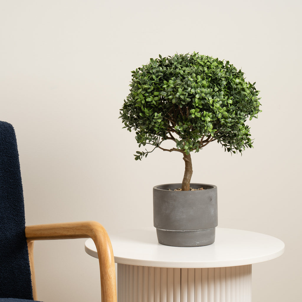 45Cm Mini Topiary Plant In Cement Pot